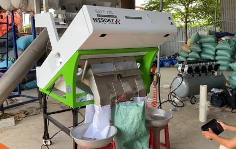 Máy tách màu nhựa Pet loại 2/máy tách màu 2 máng