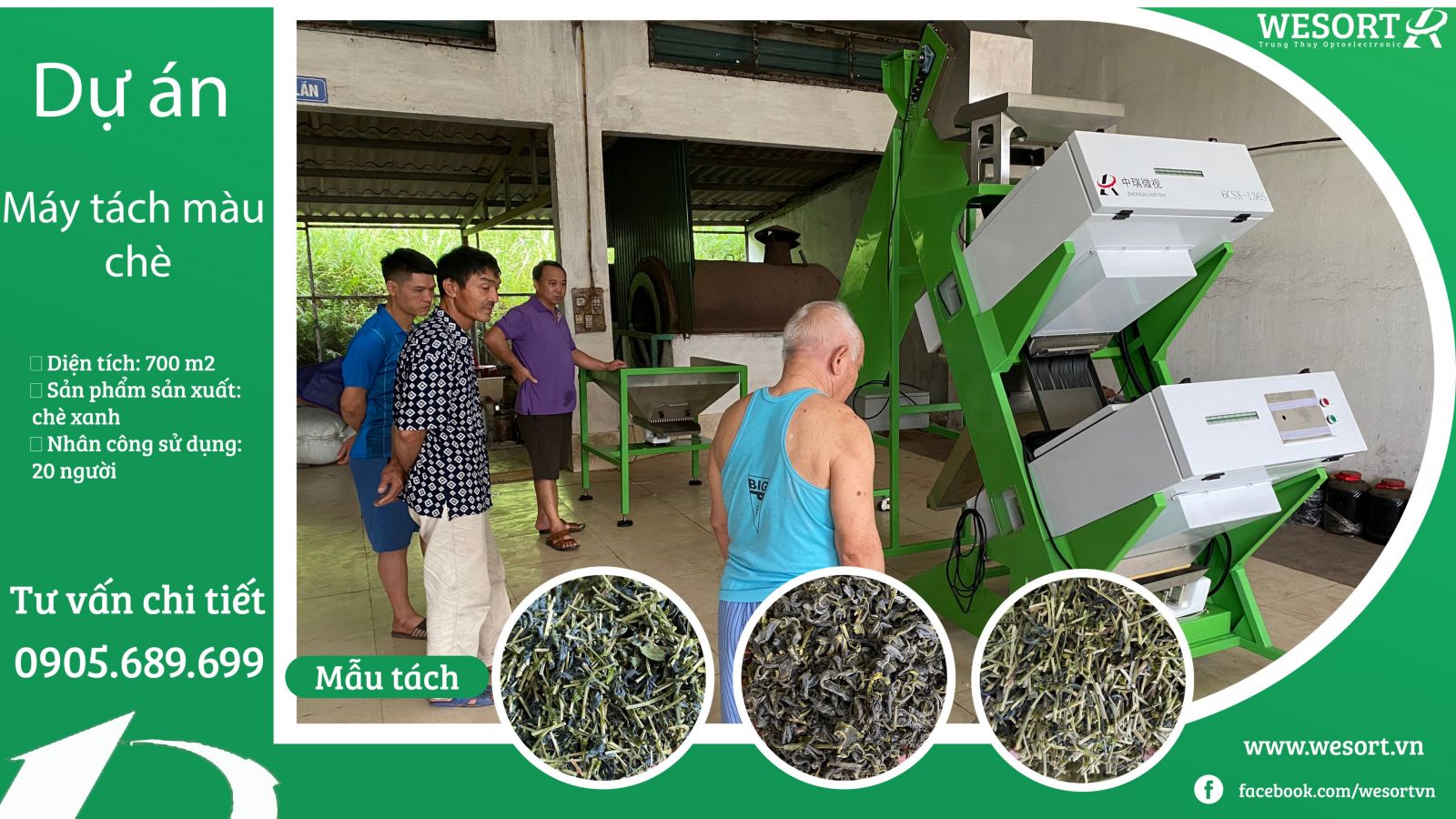 Máy tách màu chè (trà) xanh-dự án Wesort (trung thụy)