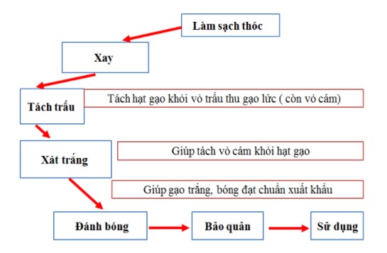 chế biến gạo không sử dụng máy tách màu