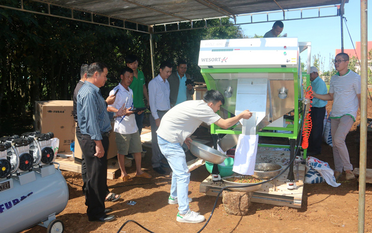 Máy tách màu cà phê quả tươi bàn giao cho tổ hợp tác Hoa Linh