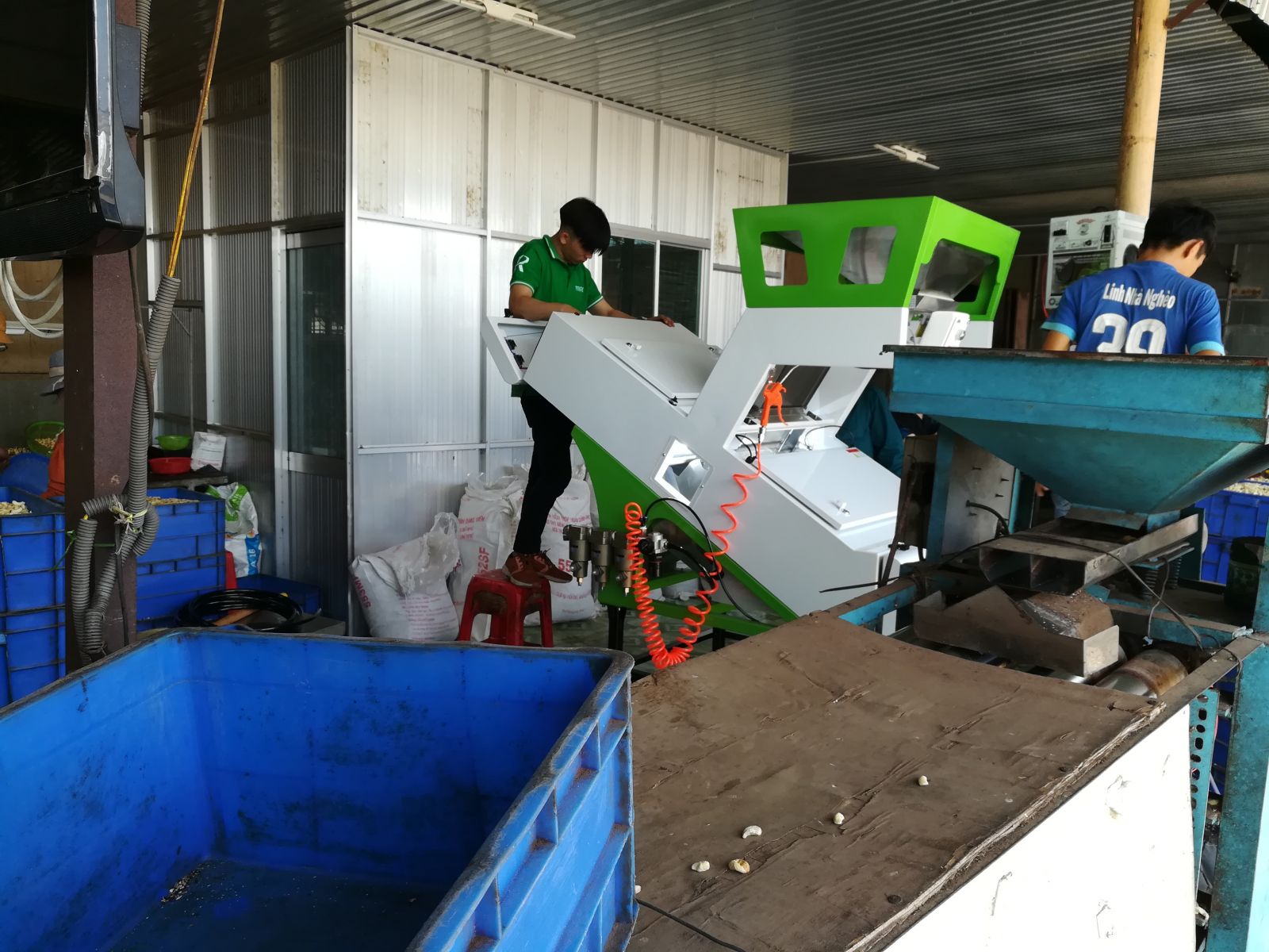Hình ảnh máy bắn màu hạt điều nhân trắng tại xưởng khách