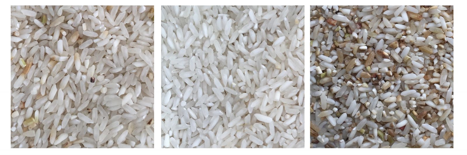 Chế độ tách gạo thông minh